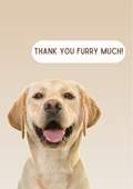Thank You Card