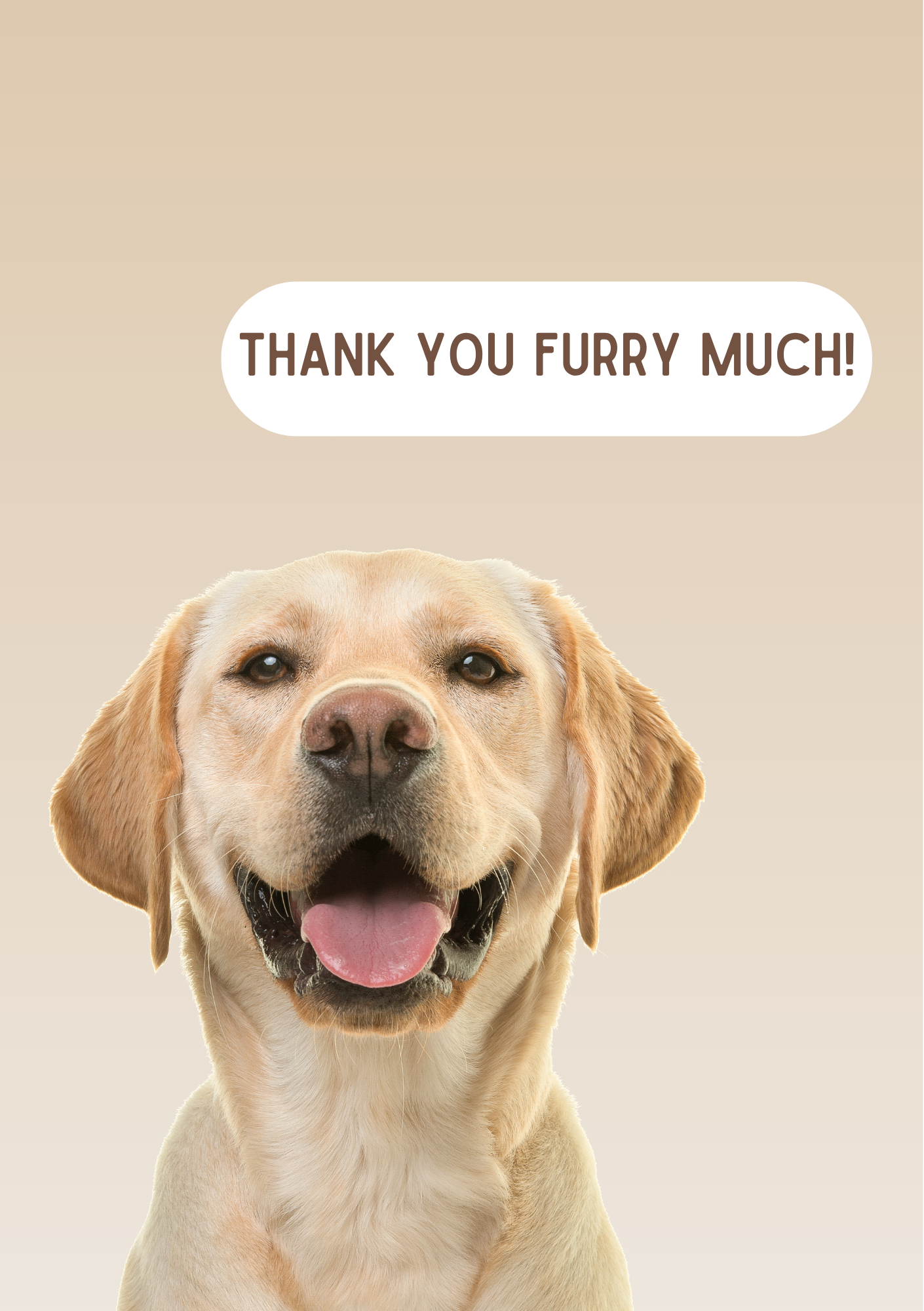 Thank You Card