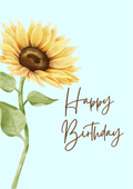 Sunshine birthday